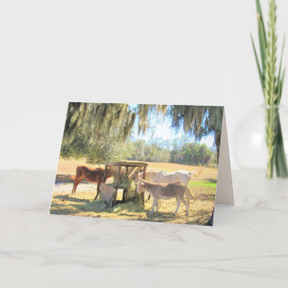 The Feed Station - Horses and Donkey Greeting Card