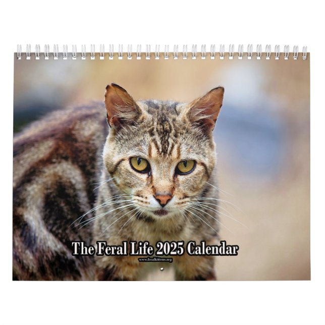 The Feral LIfe Photo Cats 2025 Calendar (Cover)