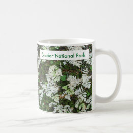 The Ferns at Glacier National Park, Montana Mug