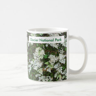 The Ferns at Glacier National Park, Montana Mug