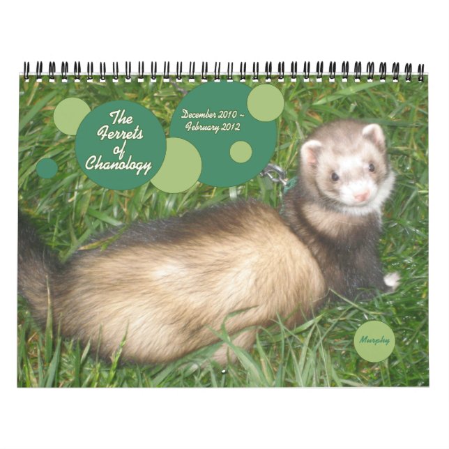 The Ferrets of Chanology Calendar (Cover)