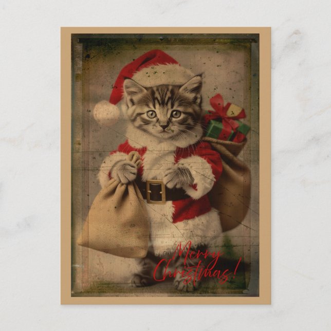 The 'Festive Folly' Kitten Christmas Postcard (Front)