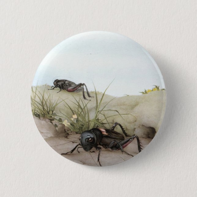 THE FIELD CRICKET 2 INCH ROUND BUTTON (Front)