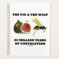The Fig & The Wasp 80 Million Years Of Coevolution