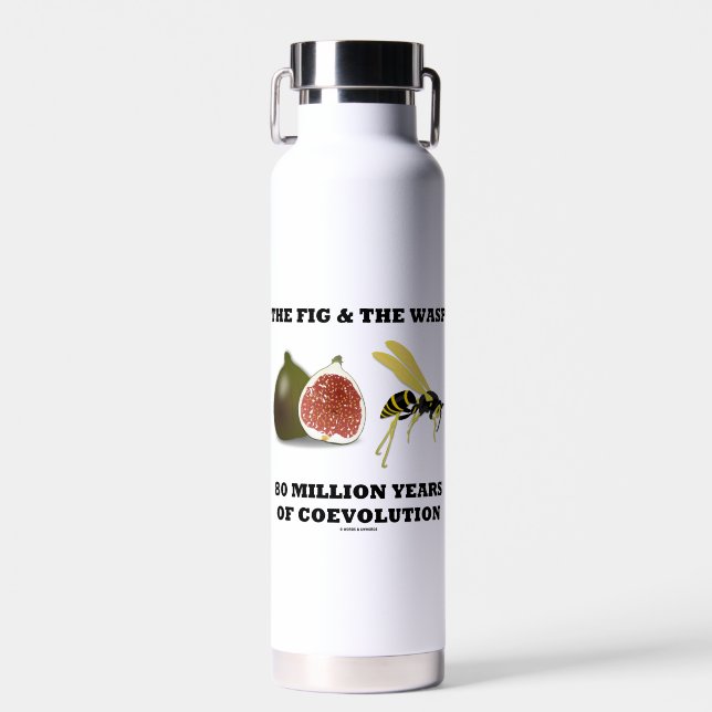 The Fig & The Wasp 80 Million Years Of Coevolution Water Bottle (Front)