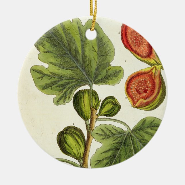 The Fig Tree, plate 125 from 'A Curious Herbal', p Ceramic Ornament (Front)