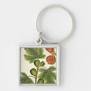 The Fig Tree, plate 125 from 'A Curious Herbal', p Keychain