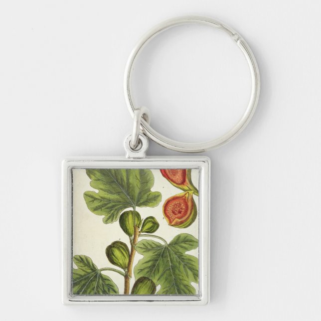 The Fig Tree, plate 125 from 'A Curious Herbal', p Keychain (Front)