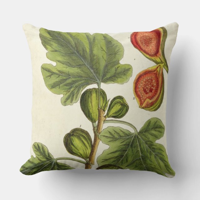 The Fig Tree, plate 125 from 'A Curious Herbal', p Throw Pillow (Front)