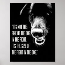 The Fight In The Dog Poster