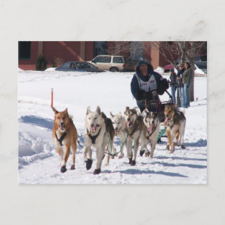 The Final Stretch Postcard