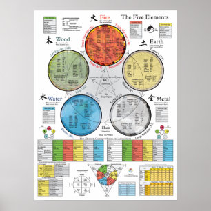 The Five Elements of Acupuncture Poster 18" X 24"