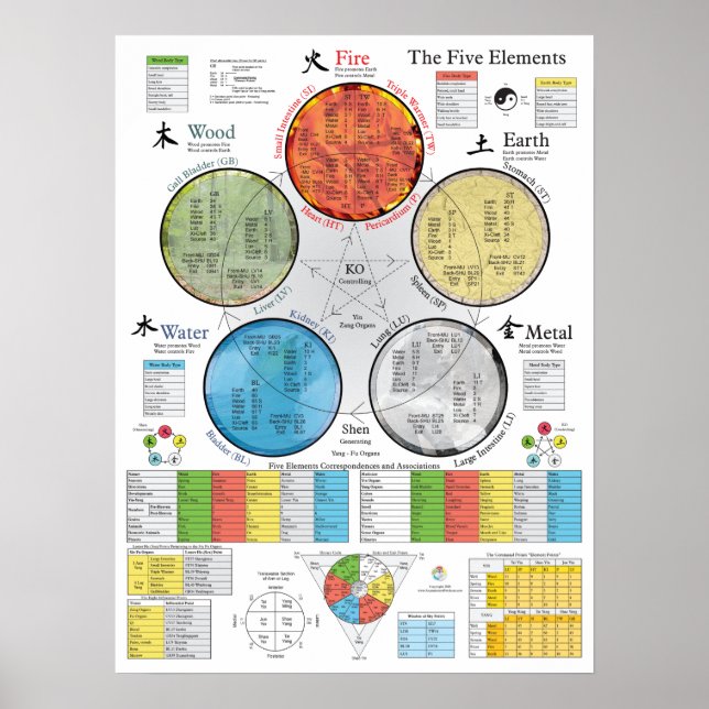 The Five Elements of Acupuncture Poster 18" X 24"  (Front)