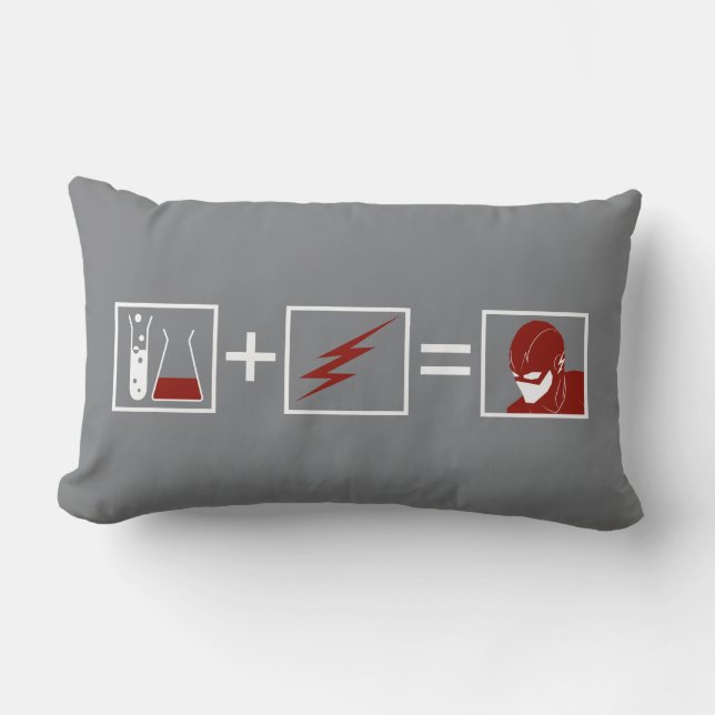 The Flash | Flash Equation Lumbar Pillow (Front)