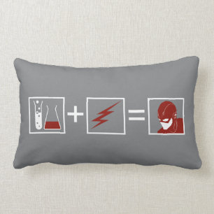 The Flash   Flash Equation Lumbar Pillow