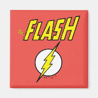 The Flash Name & Lightning Bolt Logo