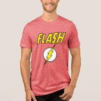 The Flash Name & Lightning Bolt Logo