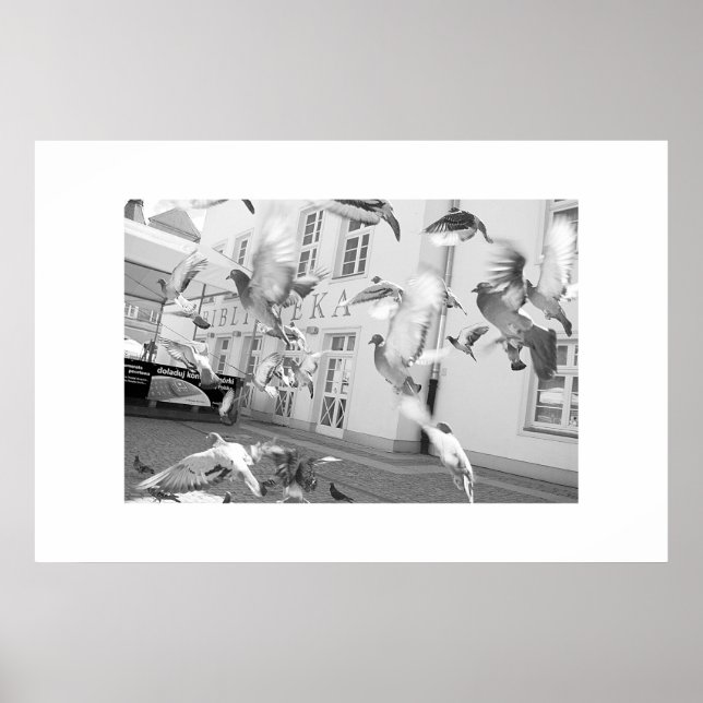 The Flock - Framed Print (Front)