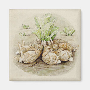 The Flopsy Bunnies Asleep (by Beatrix Potter) Magnet