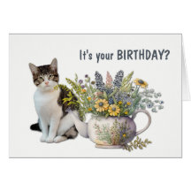 Thé floral Kettle Chat Meowday