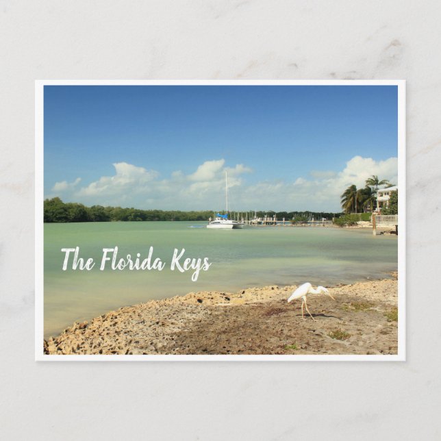 The Florida Keys photo scene with boat and bird Postcard (Front)