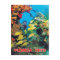 The Florida Reef in the Florida Keys