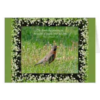 The flowers are springing up Parakaleo note card