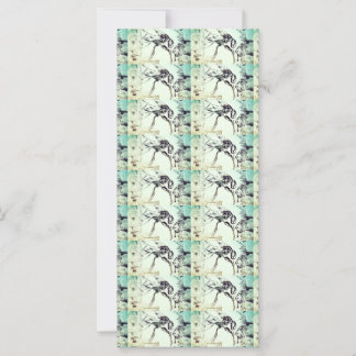 The Fly And The Oboe