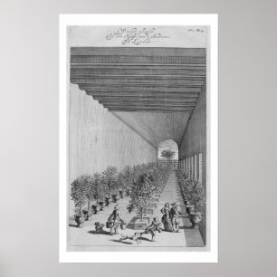 The forcing-house, from 'De Nederlandze Hesperides Poster