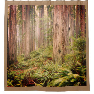 THE FOREST 2 SHOWER CURTAIN