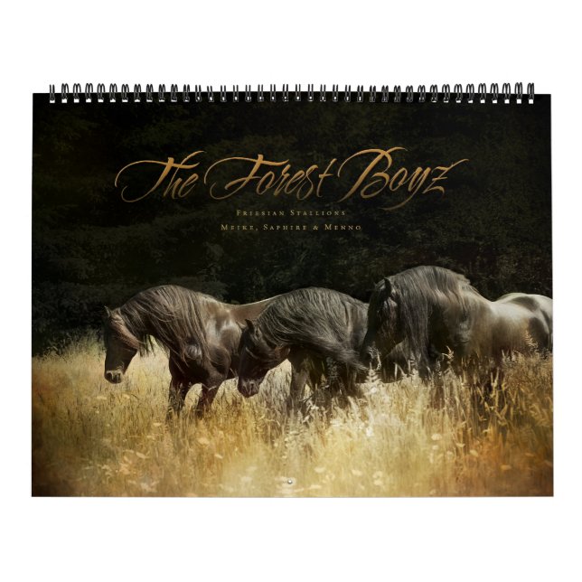 The Forest Boyz – Heavenly Homeland Calendar (Cover)