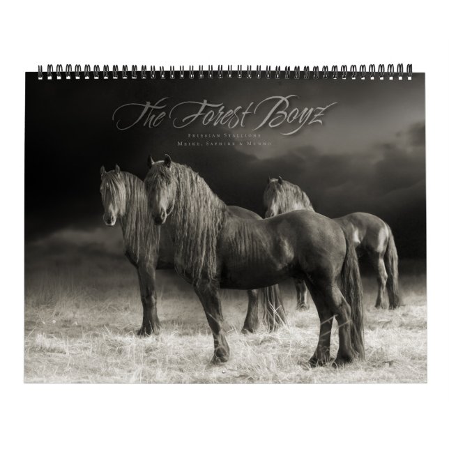 The Forest Boyz – Wholehearted Calendar (Cover)