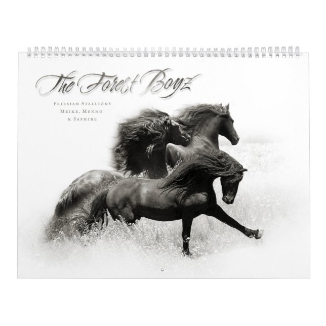 The Forest Boyz – Wild at heart Calendar (Cover)