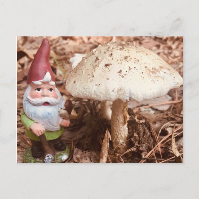 The Forest Gnome Postcard (Front)