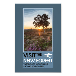 The Forest Hampshire England Photo Print