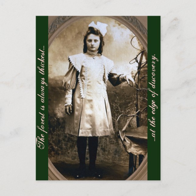 The Forest is Always Thickest at the Edge of... Postcard (Front)