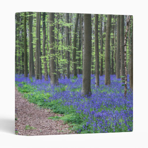 The Forest of Halle   Halle, Belgium Binder