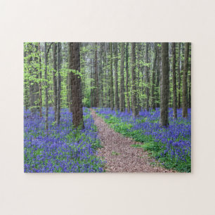 The Forest of Halle Halle, Belgium Jigsaw Puzzle