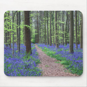 The Forest of Halle   Halle, Belgium Mouse Pad