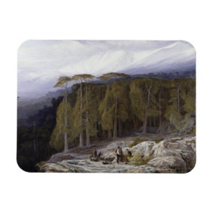 The Forest of Valdoniello, Corsica, 1869 (oil on c Magnet