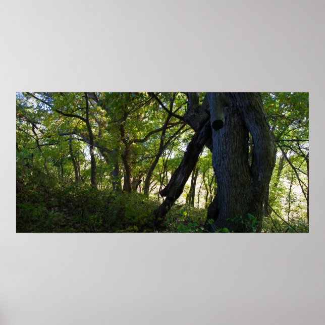 The Forest Poster (Front)