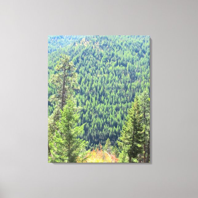 The Forest Wrapped Canvas (Front)