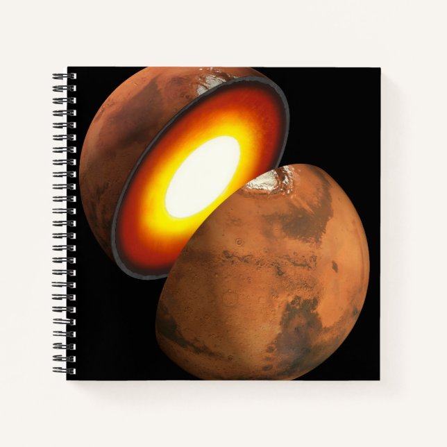 The Formation Of Rocky Bodies In The Solar System. Notebook (Front)