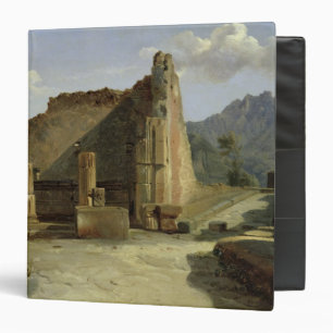 The Forum of Pompeii Binder