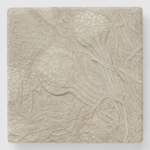 The Fossil Collection Stone Coaster