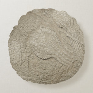 The Fossil Cushion Collection