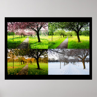 The Four Seasons Poster