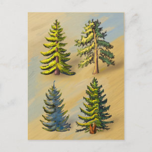 The four varieties of fir trees, botany. postcard