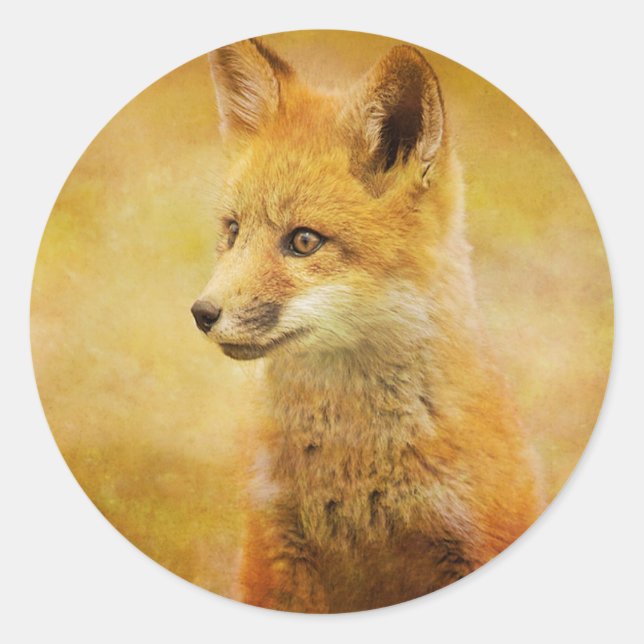 The Fox in the Wood Classic Round Sticker (Front)