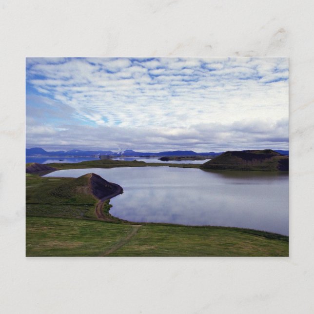 The Fratercula Arctica, Iceland Postcard (Front)